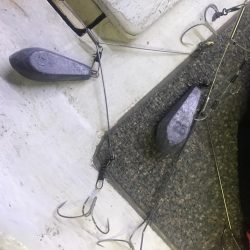 淡路室津のカットウ釣り