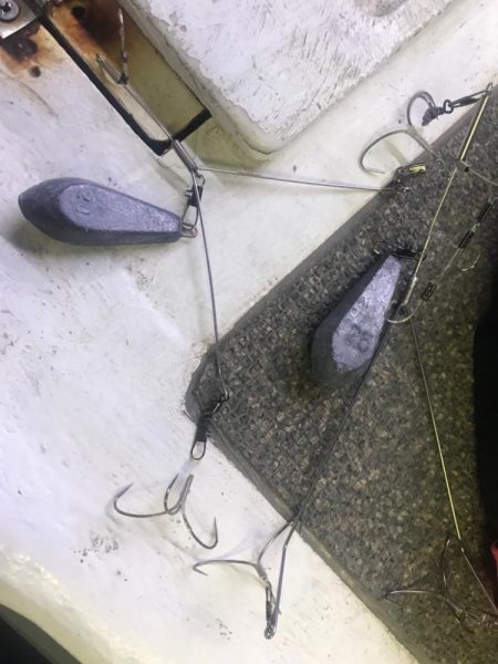 淡路室津のカットウ釣り