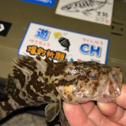 クリアブルーのテスターさんと釣行と…