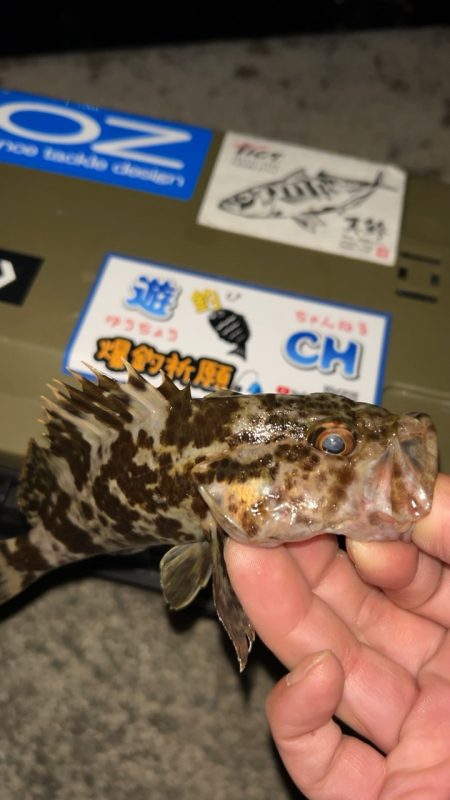 クリアブルーのテスターさんと釣行と…