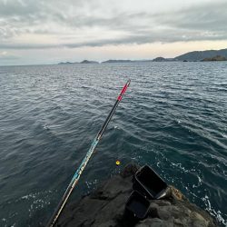 2024年初釣り釣行