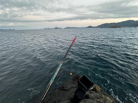 2024年初釣り釣行