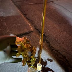 四日市ライトゲーム