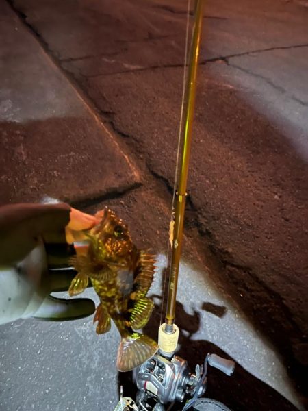 四日市ライトゲーム