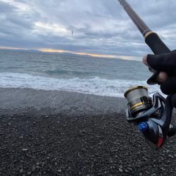 フグに終わりフグに・・・(苦笑)