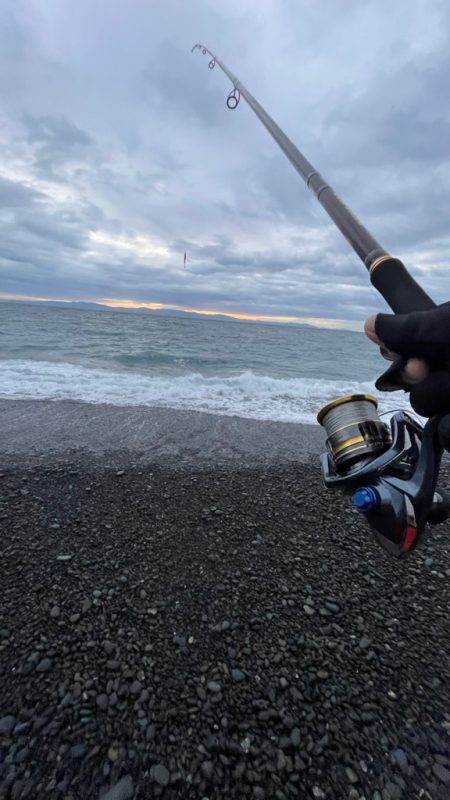 フグに終わりフグに・・・(苦笑)