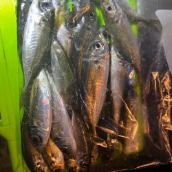 2024年の初釣り！！