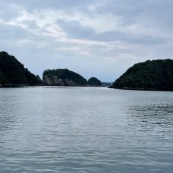 2時間釣行　いい引きでした！