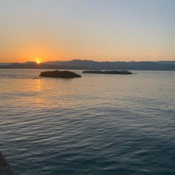 今年初の陸っぱり！