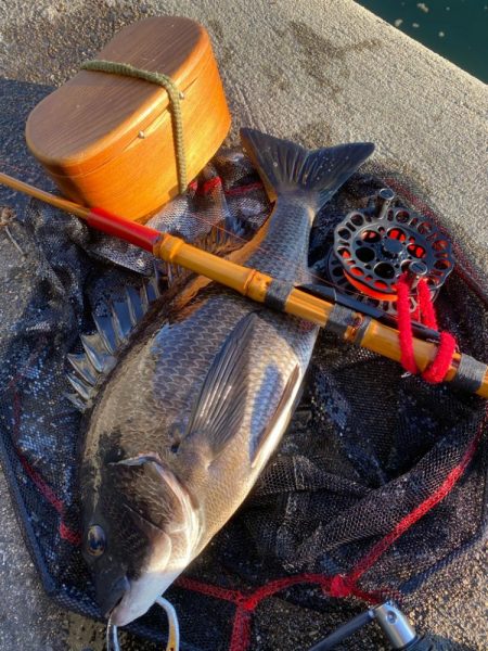 ヘチってきました