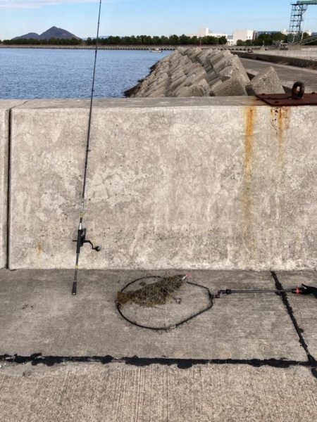 今年の第一号が釣れました。