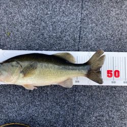 1日ボート釣行！