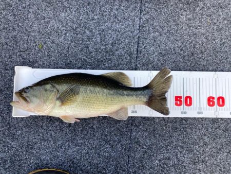 1日ボート釣行！