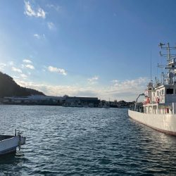 デカアジそこそこ！