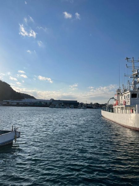 デカアジそこそこ！