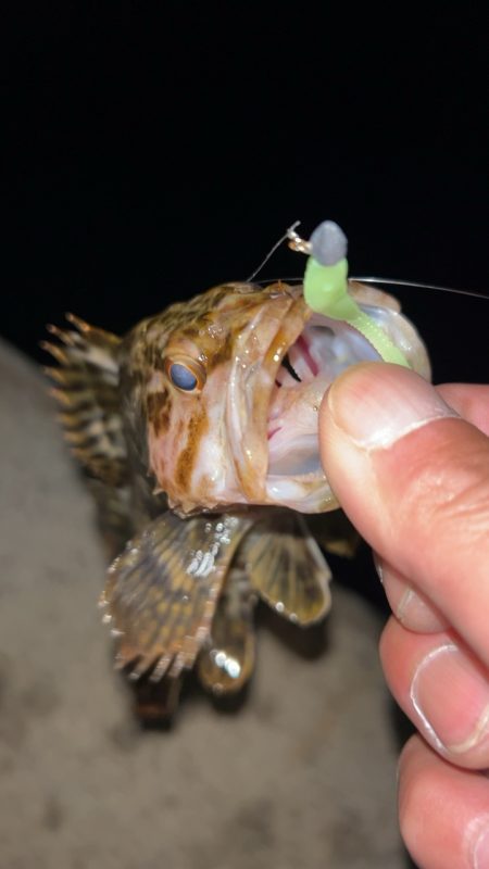 冬のタケノコ掘り♪