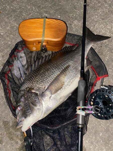 ヘチってきました