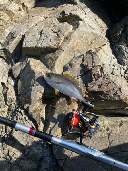 磯　フカセ釣り