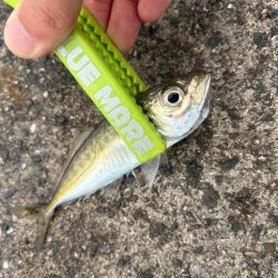 デイアジング！？