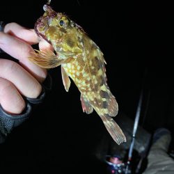 原点にして頂点