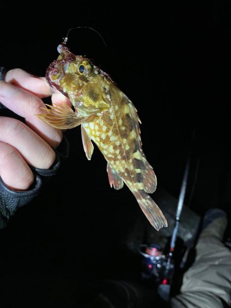 原点にして頂点