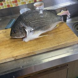 ぶっ込み(初釣り)