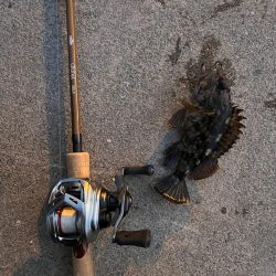 真冬のライトゲーム