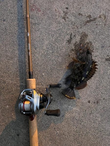 真冬のライトゲーム