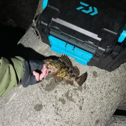 原点にして頂点。