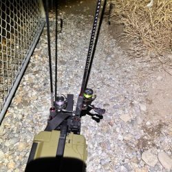 極寒爆風の中の1匹