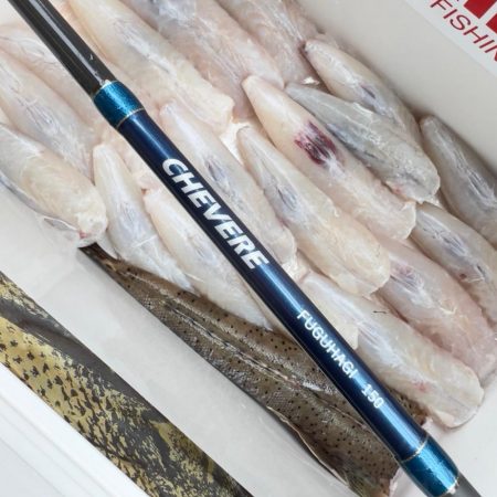 ショウサイフグ/カットウ釣り