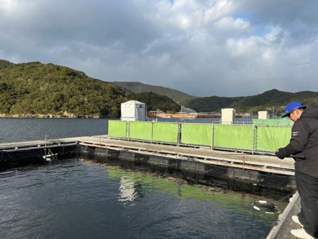 あなたに逢い鯛釣り堀 夕まずめ