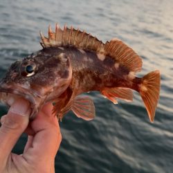 もう終わりかな?