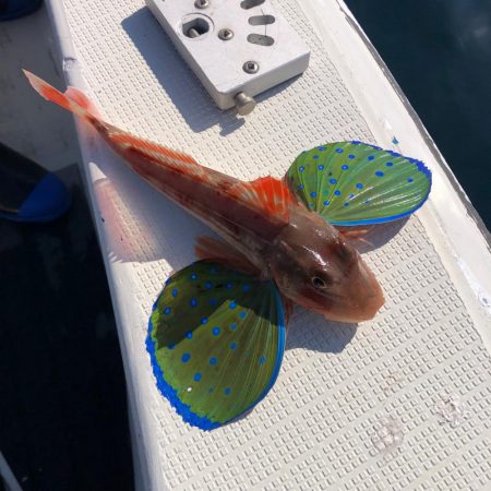 2024初釣行の結果は…