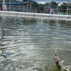 大会前のプラクティス