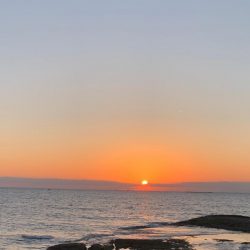 初釣り、なんとか釣れた。