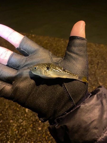 短時間、深夜ライトゲーム