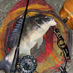 ヘチってきました