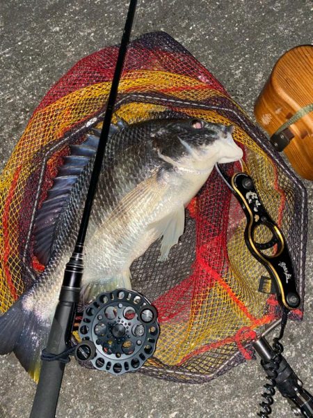 ヘチってきました