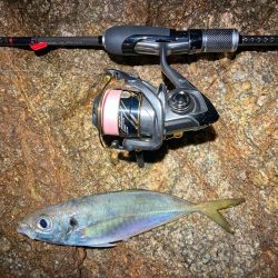 淡路島でライトゲーム