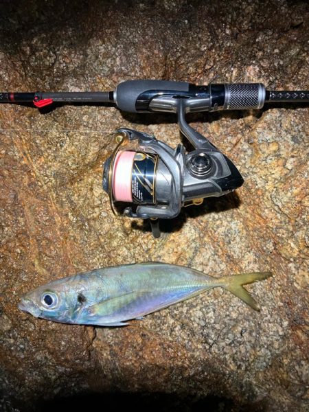 淡路島でライトゲーム