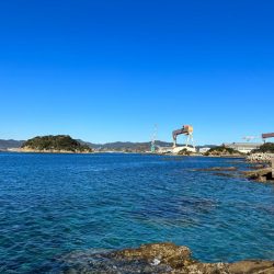 やっぱりガシラ(アラカブ)