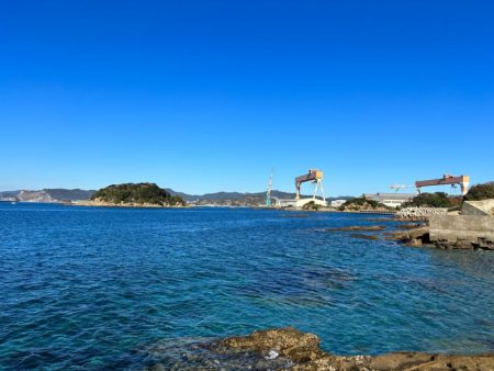 やっぱりガシラ(アラカブ)