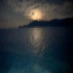 今年初投稿　初ヤリイカ