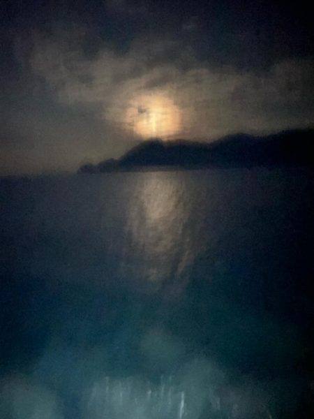 今年初投稿　初ヤリイカ