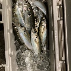 ボートアジング