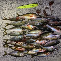 フロートアジング