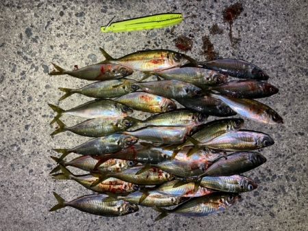 フロートアジング