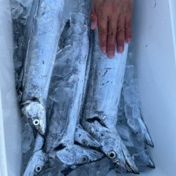 大分で干支のドラゴン狙ってきました