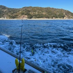 大分で連チャンしてカワハギ釣りでした